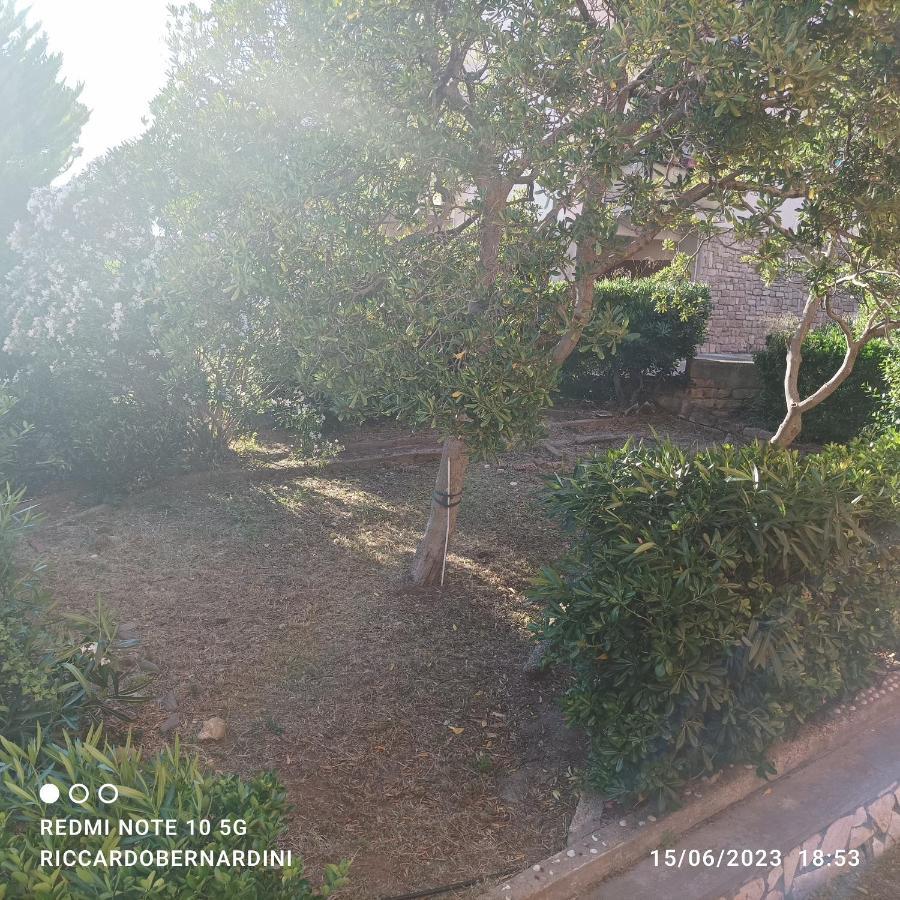 Appartement Destinazione Paradiso à Piombino Extérieur photo